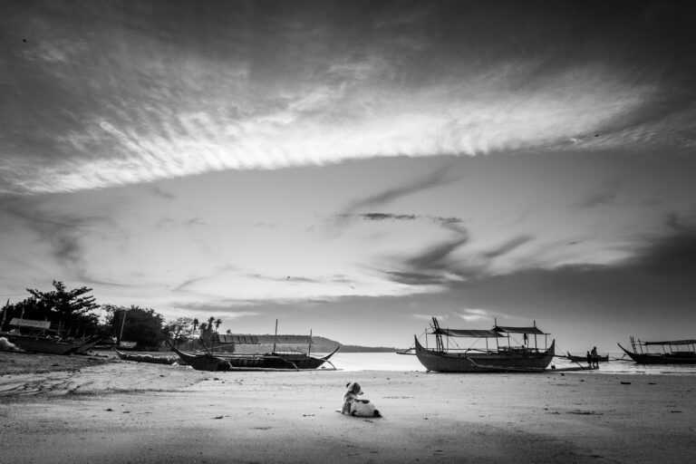 In Focus: Laiya, Batangas black and white landscape photography